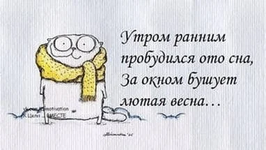 4.webp