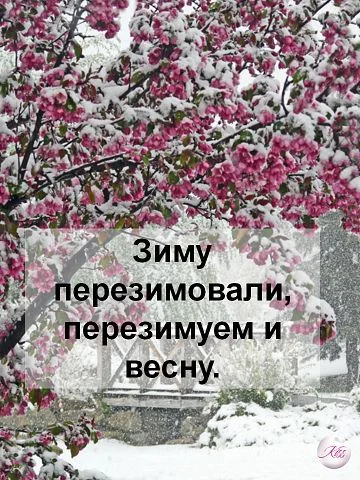 4.webp