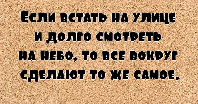 4.webp