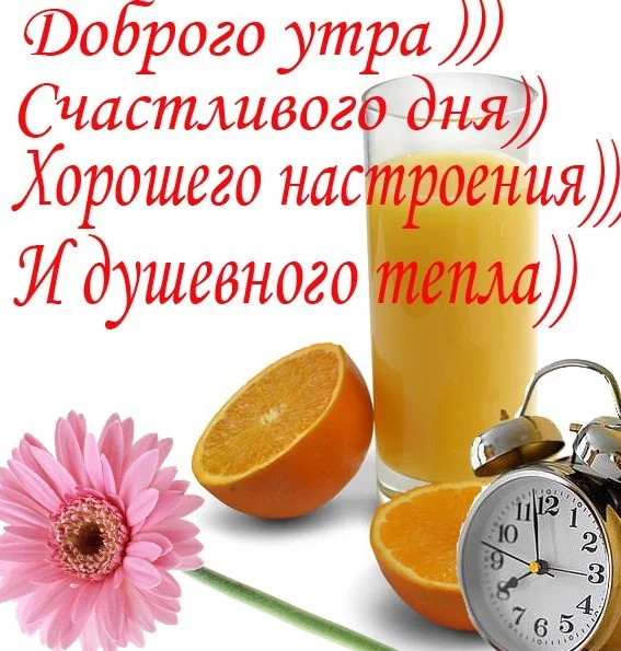 40.webp