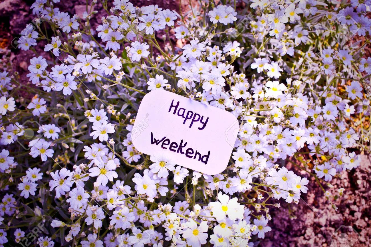 40342619-tag-with-text-happy-weekend-on-the-white-flowers.webp