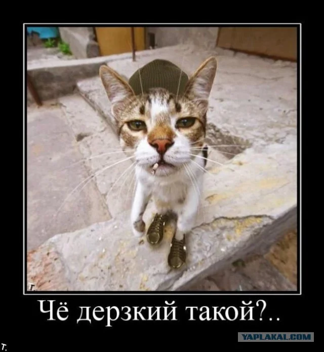 4050391.webp