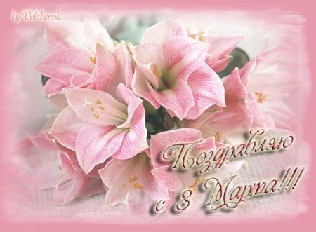 40717616_8_marta5_33ce99760b0a5f1f2eb72dcbb4ef5e52_998.webp