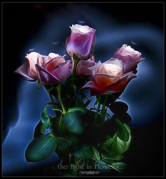 40724190_2b4fb321d54aae95b28f7ae0c283.webp