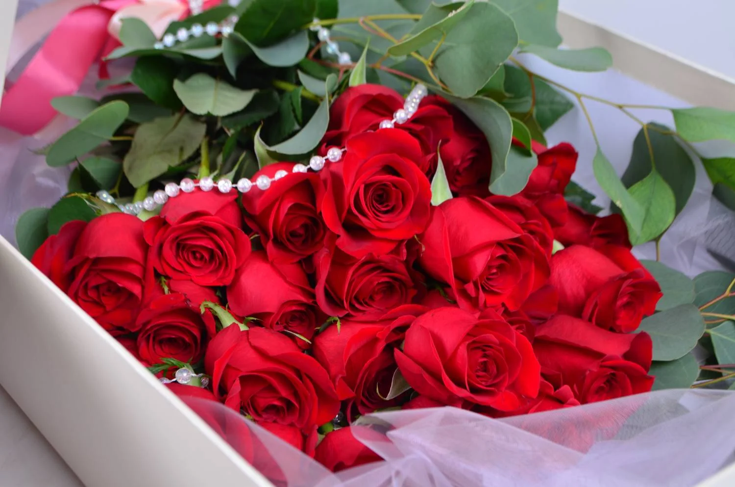 40730486.webp