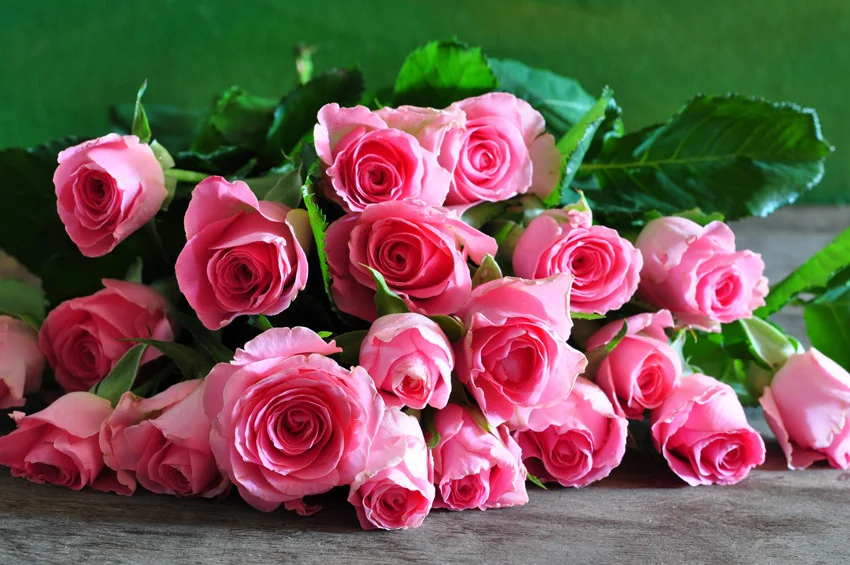 408222.webp
