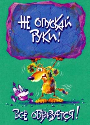 41118581_ne_opuskay_ruki.webp