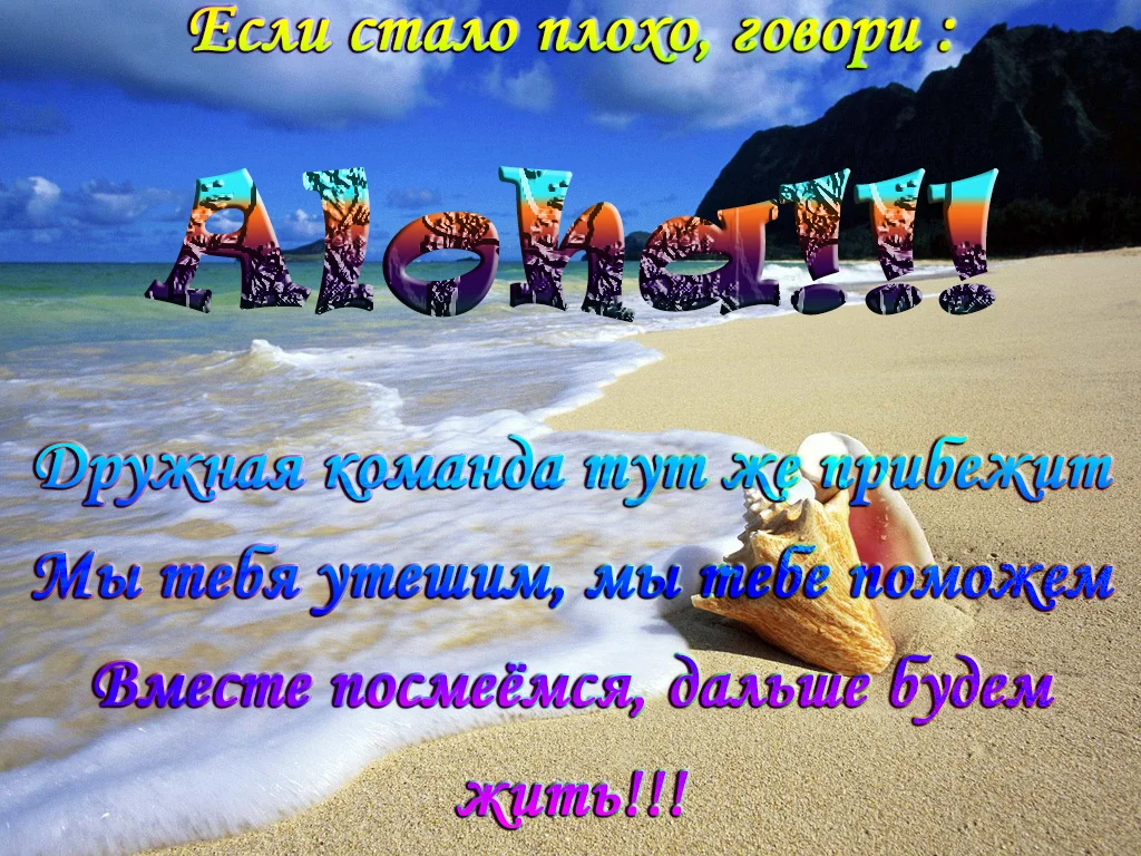 412184.webp