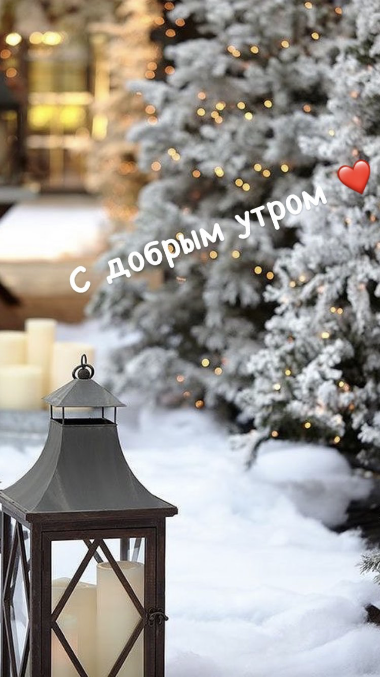 413B13B3-BB1C-44D8-BCBC-33B8F7494100.png