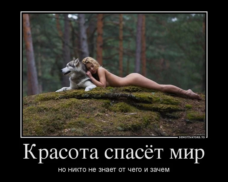 41554143_krasota-spasyot-mir.webp