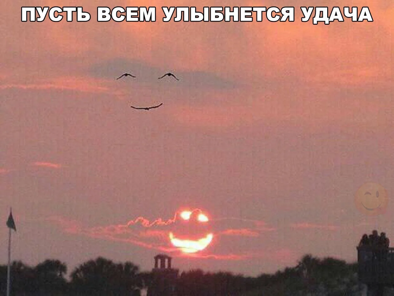 4157.webp