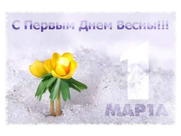 4190126.webp