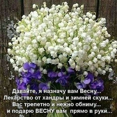 41da99fb620567bdf21ad4ded770f5d1.jpg