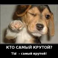 41e95a.webp