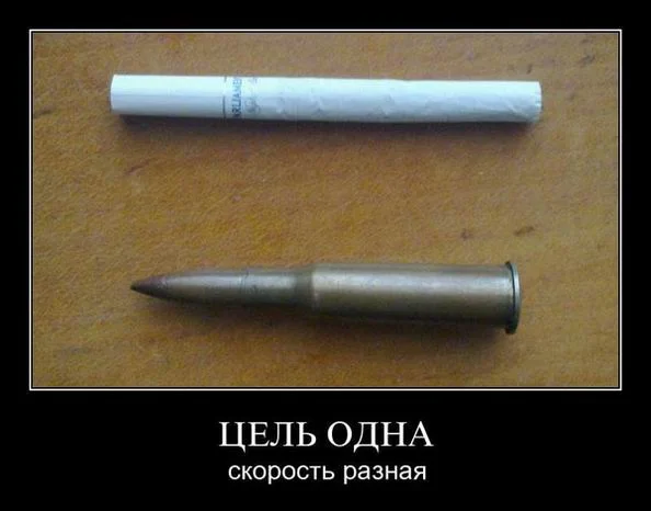 42.webp