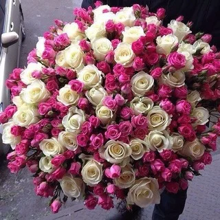 420369dadbfc8afd626d2b5251620886 (1).webp