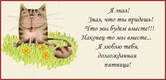 4251.webp