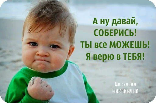 425db735255de304293e6a028bb68fc5.webp