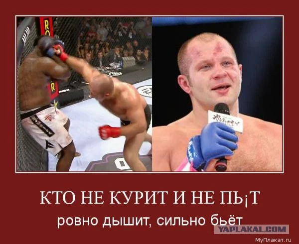 4264038.webp