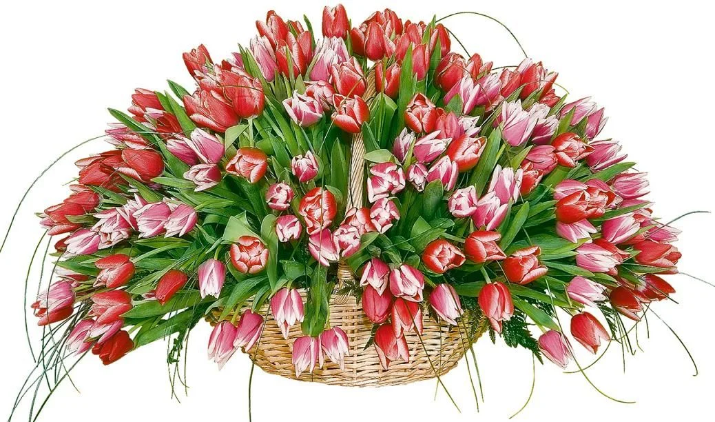 4276697.webp
