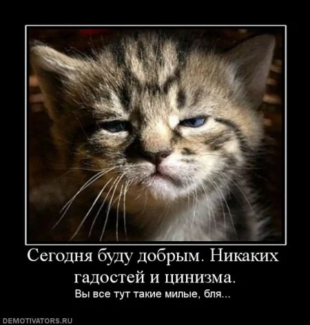 4285873_7aab33f3.webp