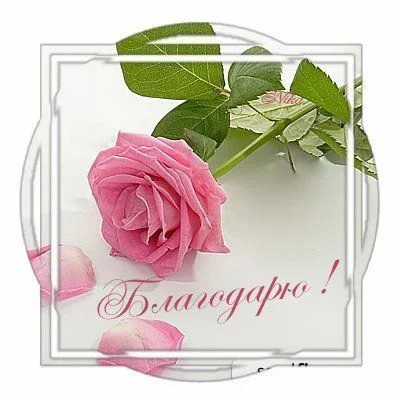 42b9e0daed0c2df0db3180e89c80b565.webp