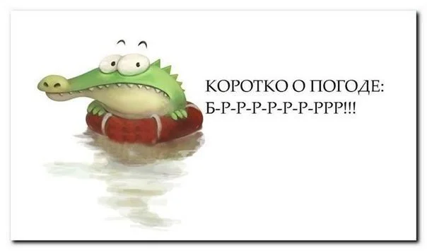 42bc5c81faf1f1a9d19324dd870b58af.webp