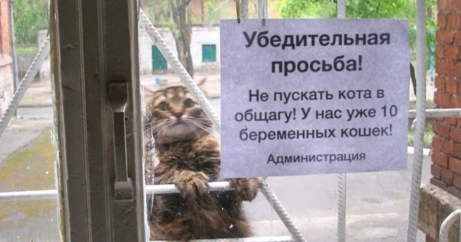 4357656789.webp