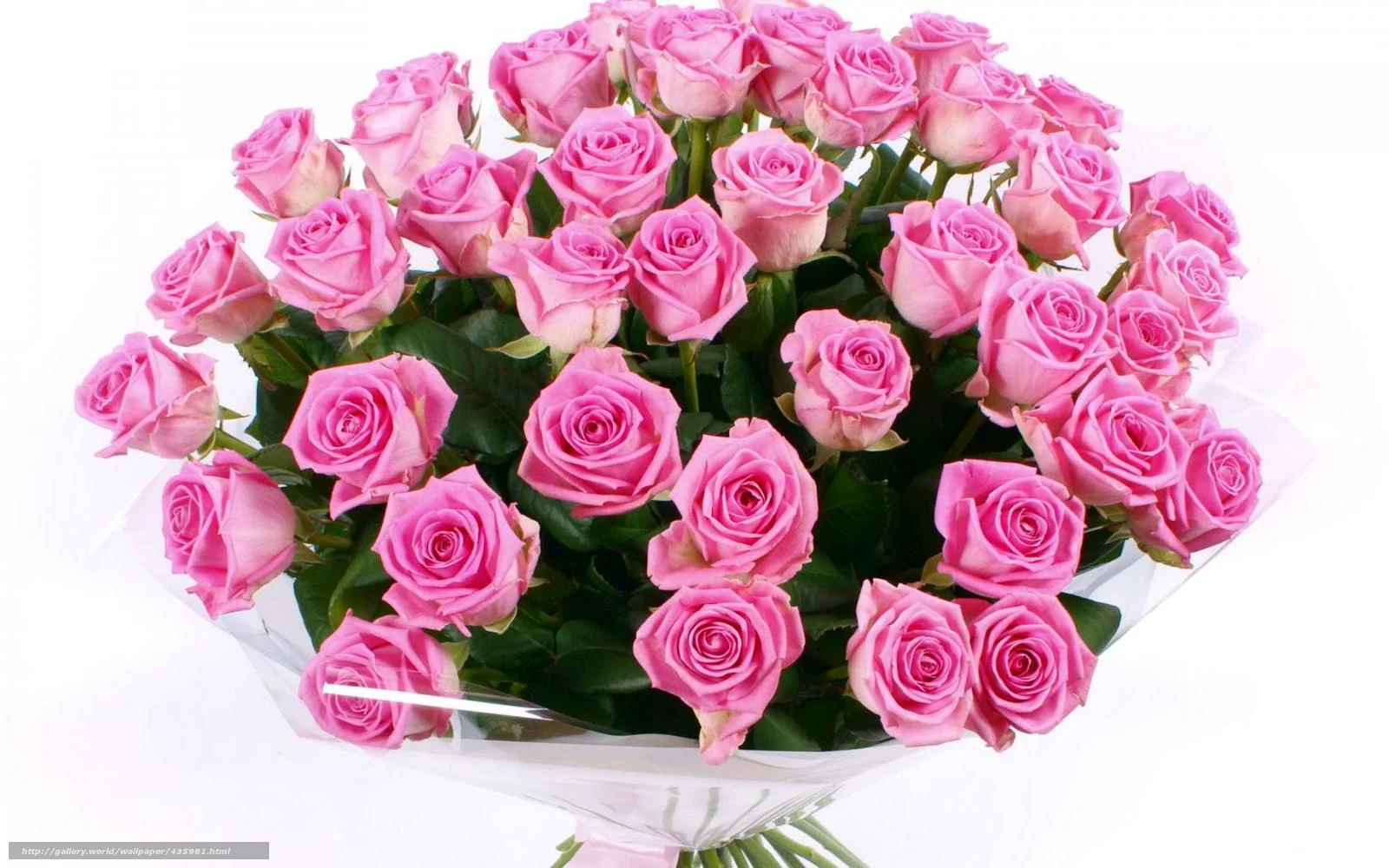435981_rozy_rozovye_cvety_cvetok_buket_krasivyj_1680x1050_(www.GdeFon.ru).webp