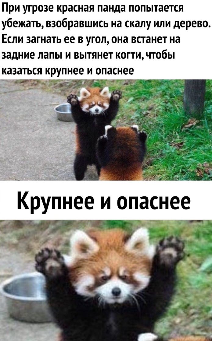 435cf71791eb1bddb24db0ab7be75fef.jpg