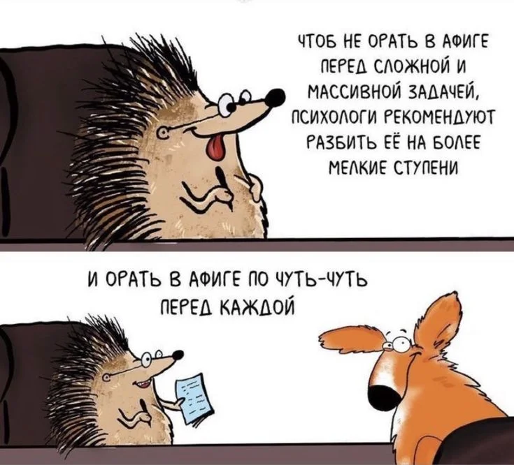 43acfcfd5c76260fac6e921a58435bf6 (1).webp