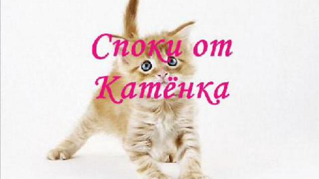 43bd40c3de66cf6e5923ad1bb74a435d-1.jpg