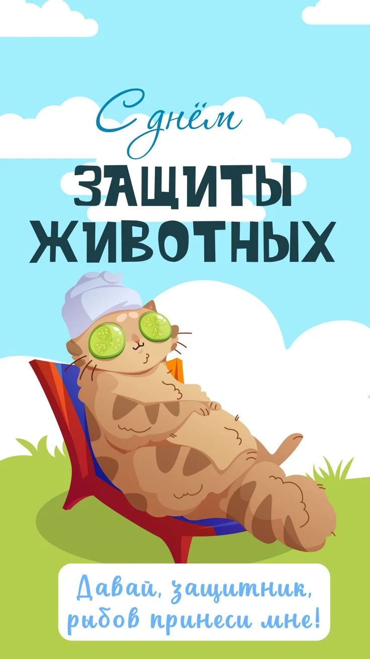 43c9ebad2712f7023ef8f1be4a02d552.webp