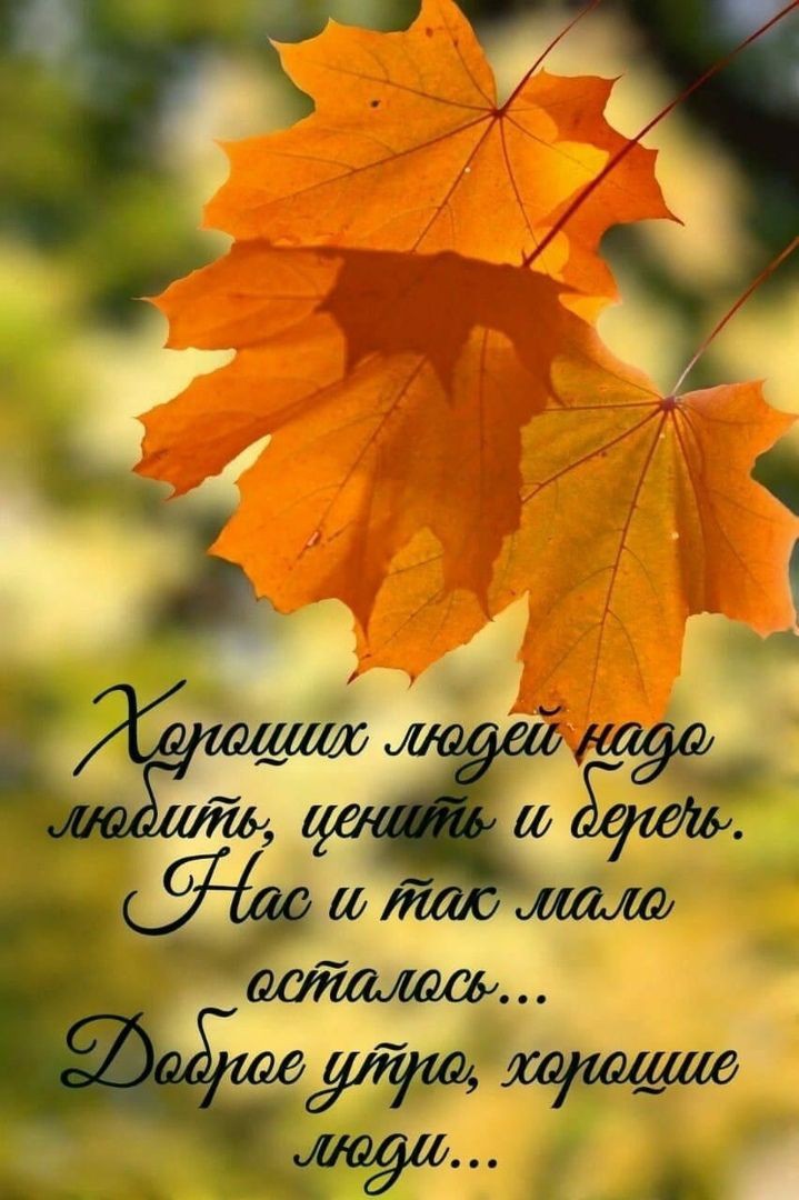 43ec8d31a3f400cb73e02611086c3749.jpg