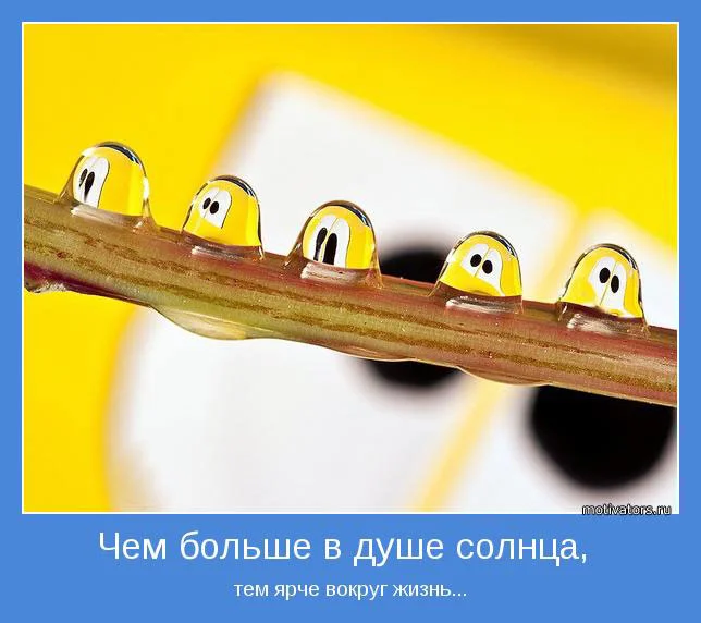 44.webp