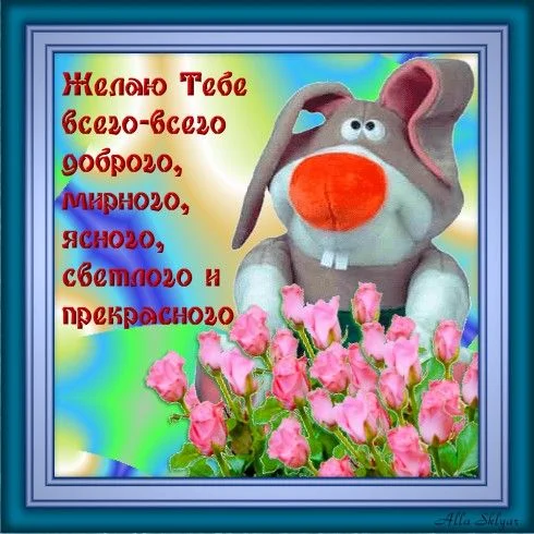 4412d53cedd5.webp