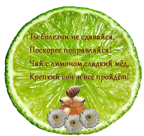 441600732.webp