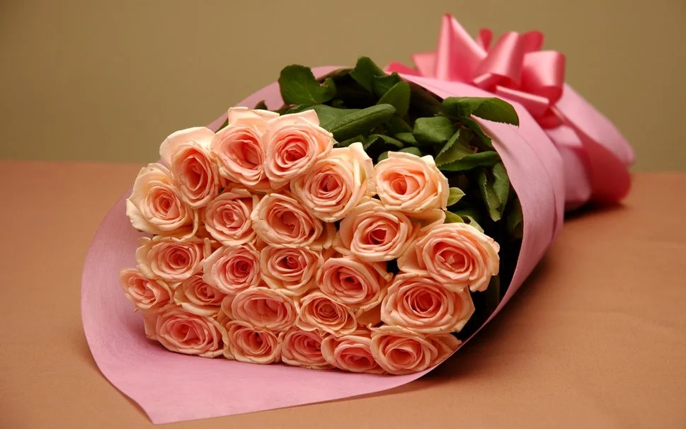 442163__light-pink-roses_p.webp
