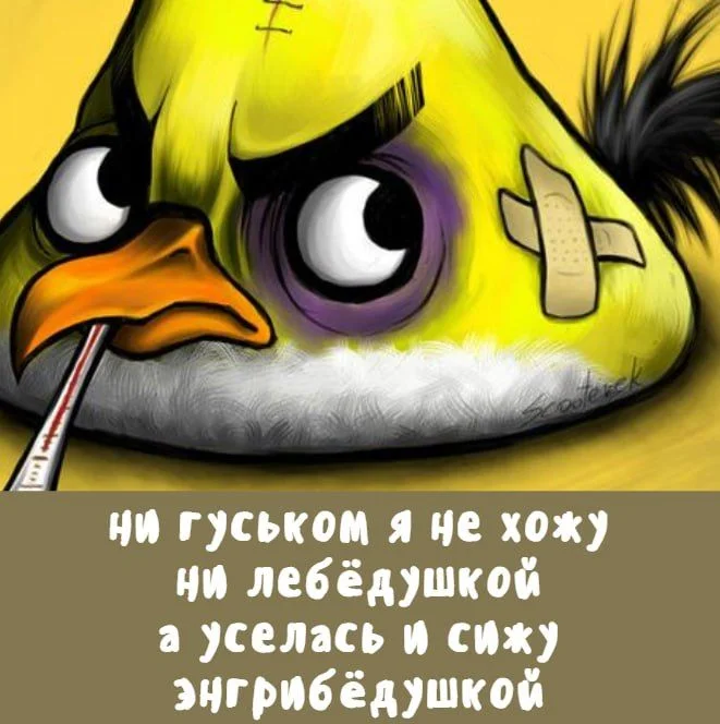 442c408cb6a288591719fc629bb9ba35[1].webp