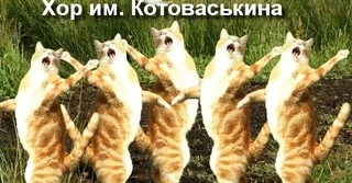 445b594400f8451ec01f01dba1d18e49.webp