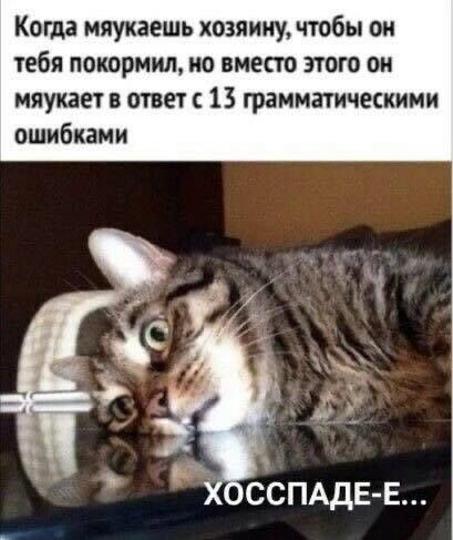 44df8f1e06e6ed0edfc0802a84de8a98.jpg