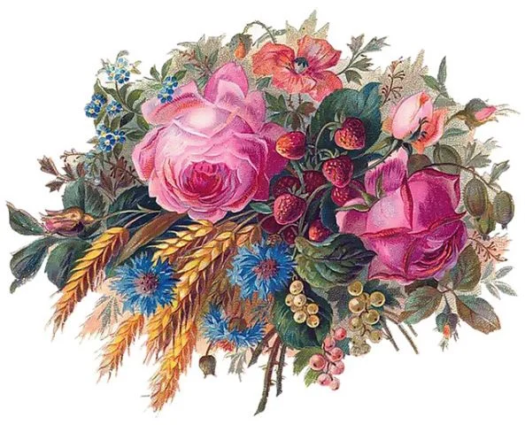 45.webp