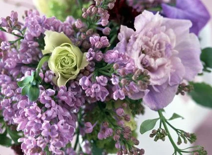 4503594.webp