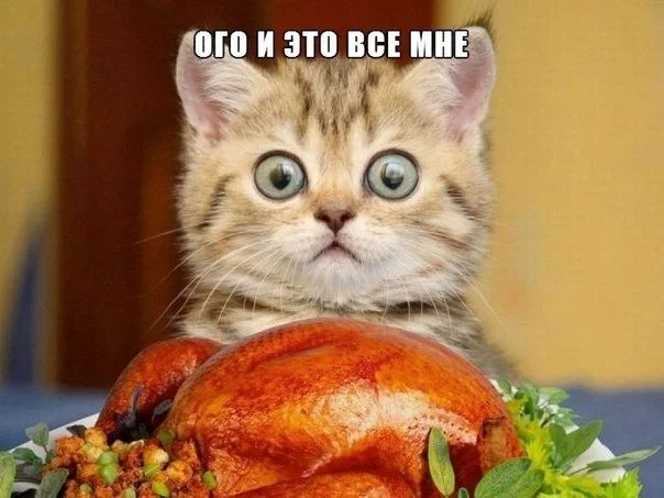 4510545.webp