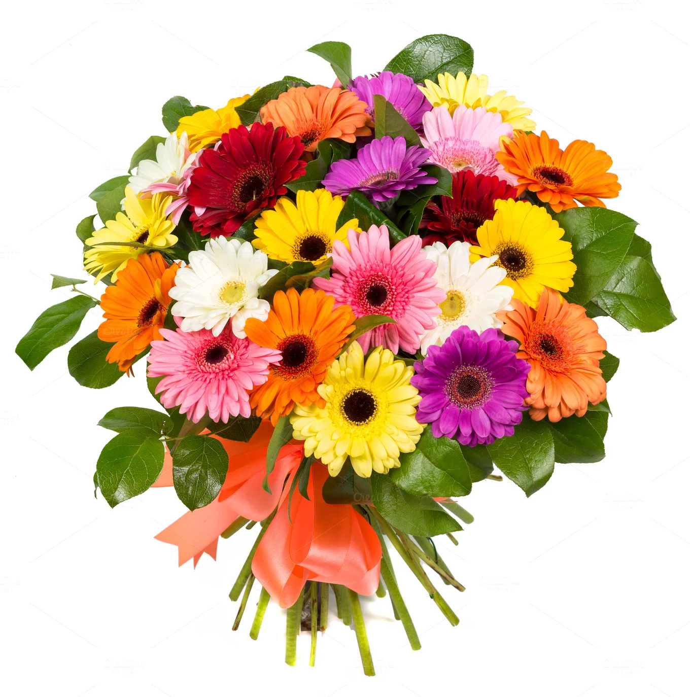 4530939.webp