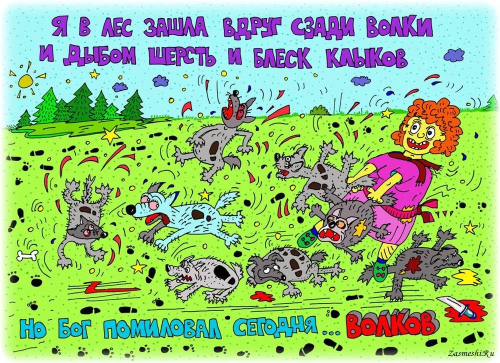 4543-Volkov-boyatsya-v-les-ne-hodit.webp