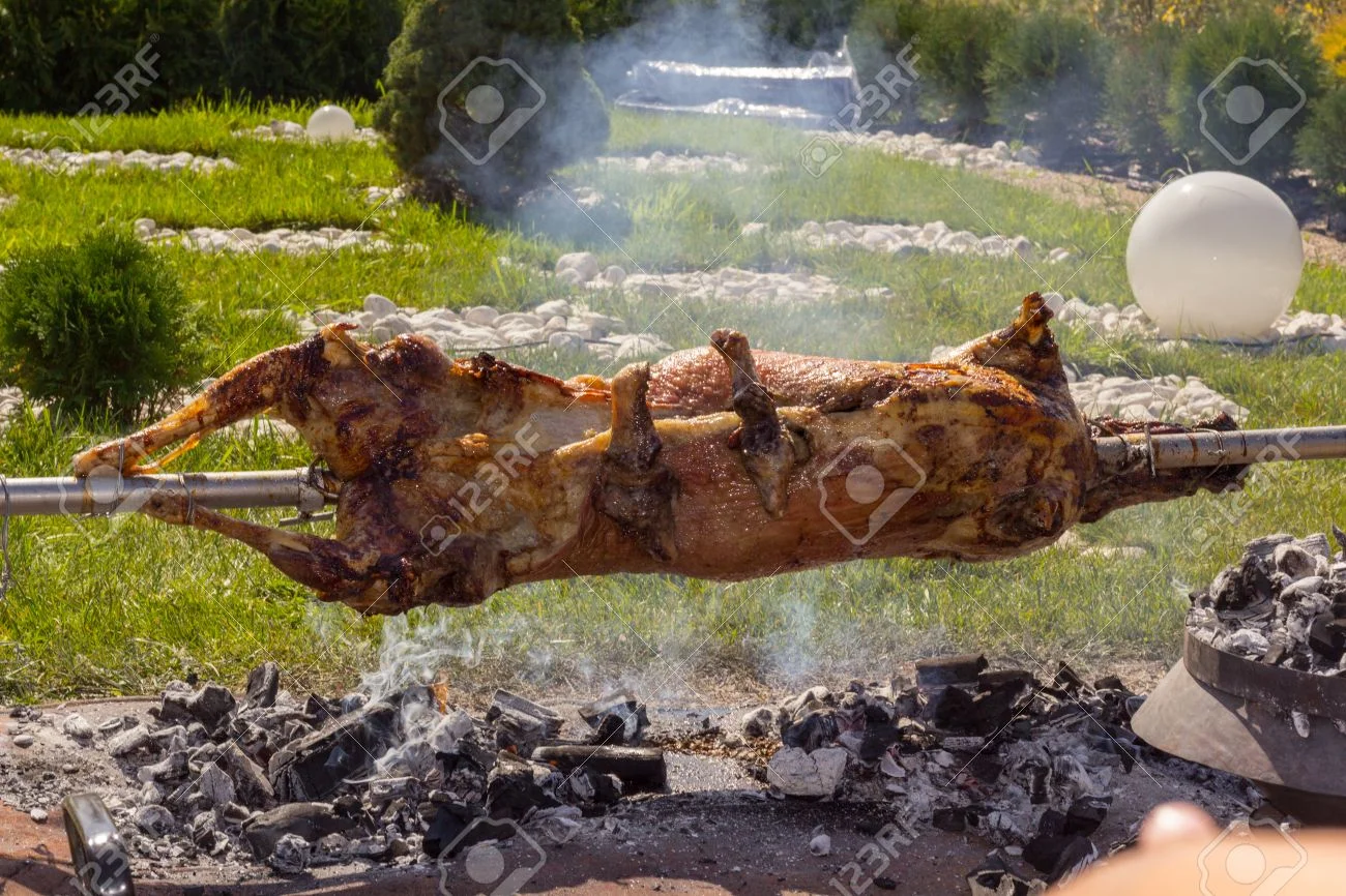 45953274-traditional-bulgarian-roasting-lamb-barbecue-it-is-roasted-meat-over-an-open-fire-co...webp
