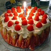 459614469.webp