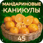 45_3_пнг.webp