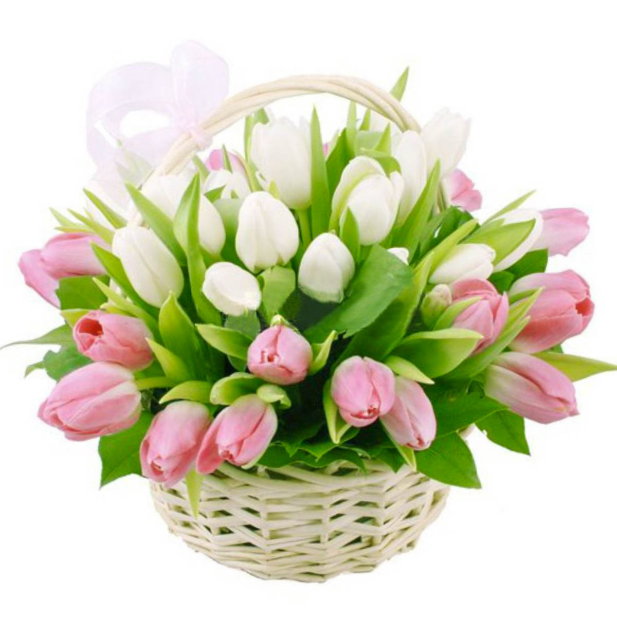 45_korzina_tulips_1.jpg